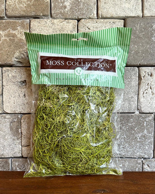 Natural Light Green Preserved Spanish Moss