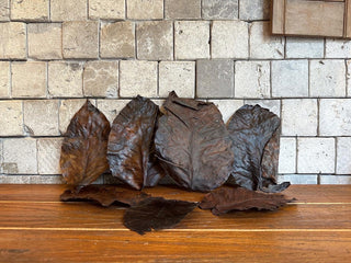 Dried Autumn Leaves Box