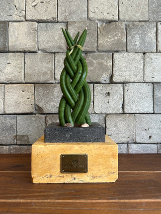 VerdeSpire Sansevieria | Artisan Marble Pottery Collection