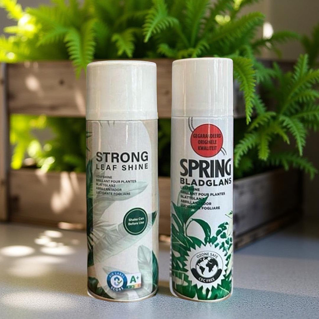 leaf shine spray for indoor plants SPRING Leaf Shine Spray for Indoor Plants – ROUGE 'N' LOVE ™