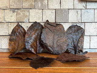 Dried Autumn Leaves Box