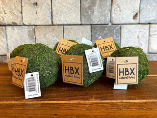 Natural Green Preserved Moss Balls