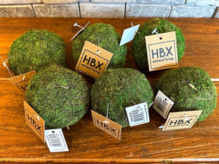 Natural Green Preserved Moss Balls