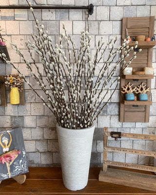 Dried Salix-Willow Stalks