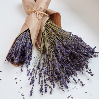 Dried Lavender Bunch