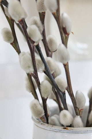 rougenlove-homepage-dried-home-decor-collection