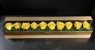 The Fresh Bloom Collection ⏳