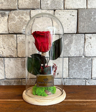 Scarlet Red Infinite Rose *Tall Vase*