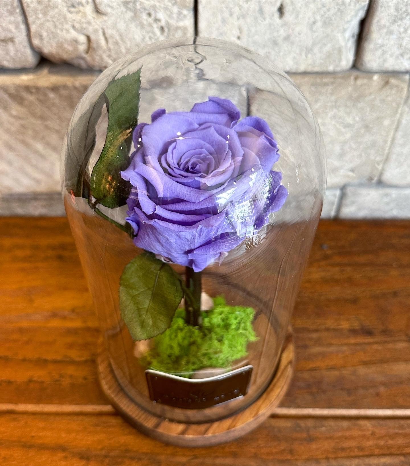 Blueberry Infinite Rose *SM Vase*