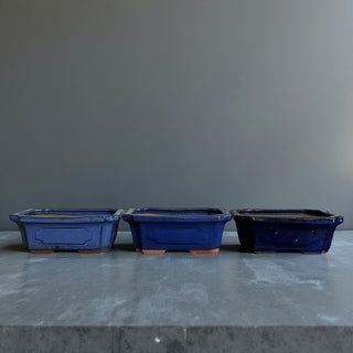 Japanese Tokoname Bonsai Pot