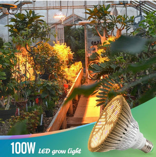 best grow lights for indoor plants uk Sunlike "Grow Light" Bulb, Full Spectrum LED Light for Indoor Plants. 100W 150 LEDs Grow Light Bulb for all Indoor Plants types – ROUGE 'N' LOVE ™