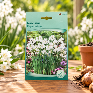 Narcissus Paperwhite Flower Bulbs – Pack of 5