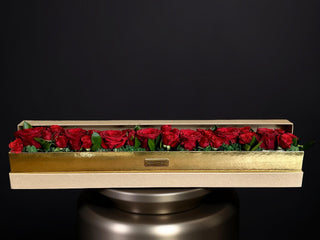 Crimson Elegance — Red Roses