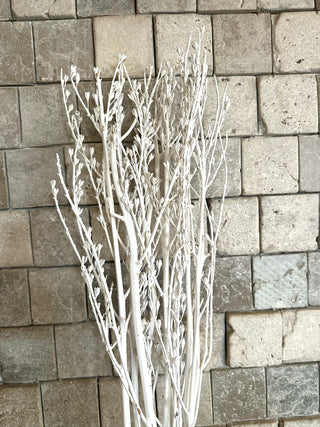 Dried Garden Cress Bunch