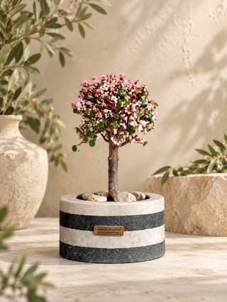 Pink Jade Bonsai · Marble