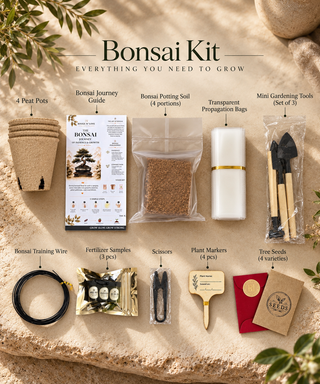 The Bonsai Journey™ | Premium Bonsai Growing Kit