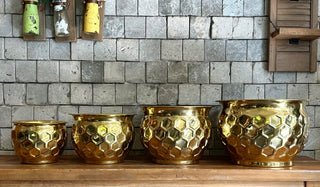 Indian Brass Luxe Pot