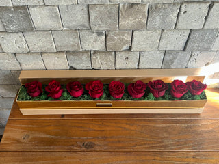 Crimson Elegance — Red Roses