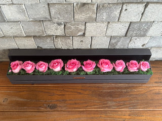 Rosé Fame — Pink Roses