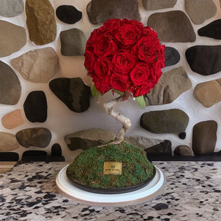 Majestic Infinite Roses Tree - ‘Handmade Bonsai Design’