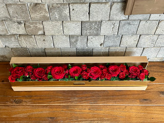 Crimson Elegance — Red Roses