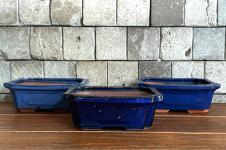 Japanese Tokoname Bonsai Pot