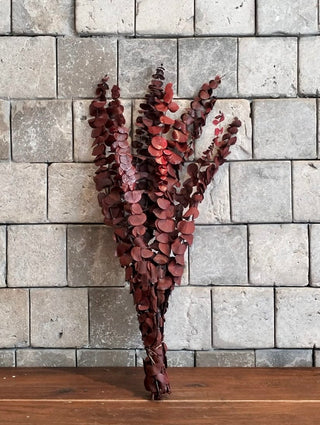 Dried ‘Red’ Eucalyptus Bunch