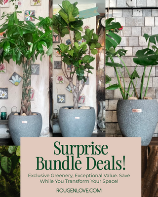 💰 Prosperity & ✨ Vogue 'Bundle'