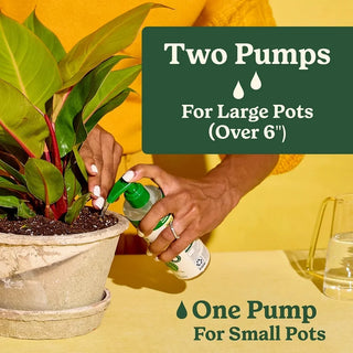 Miracle-Gro® Indoor Plant Food Liquid (1-1-1)