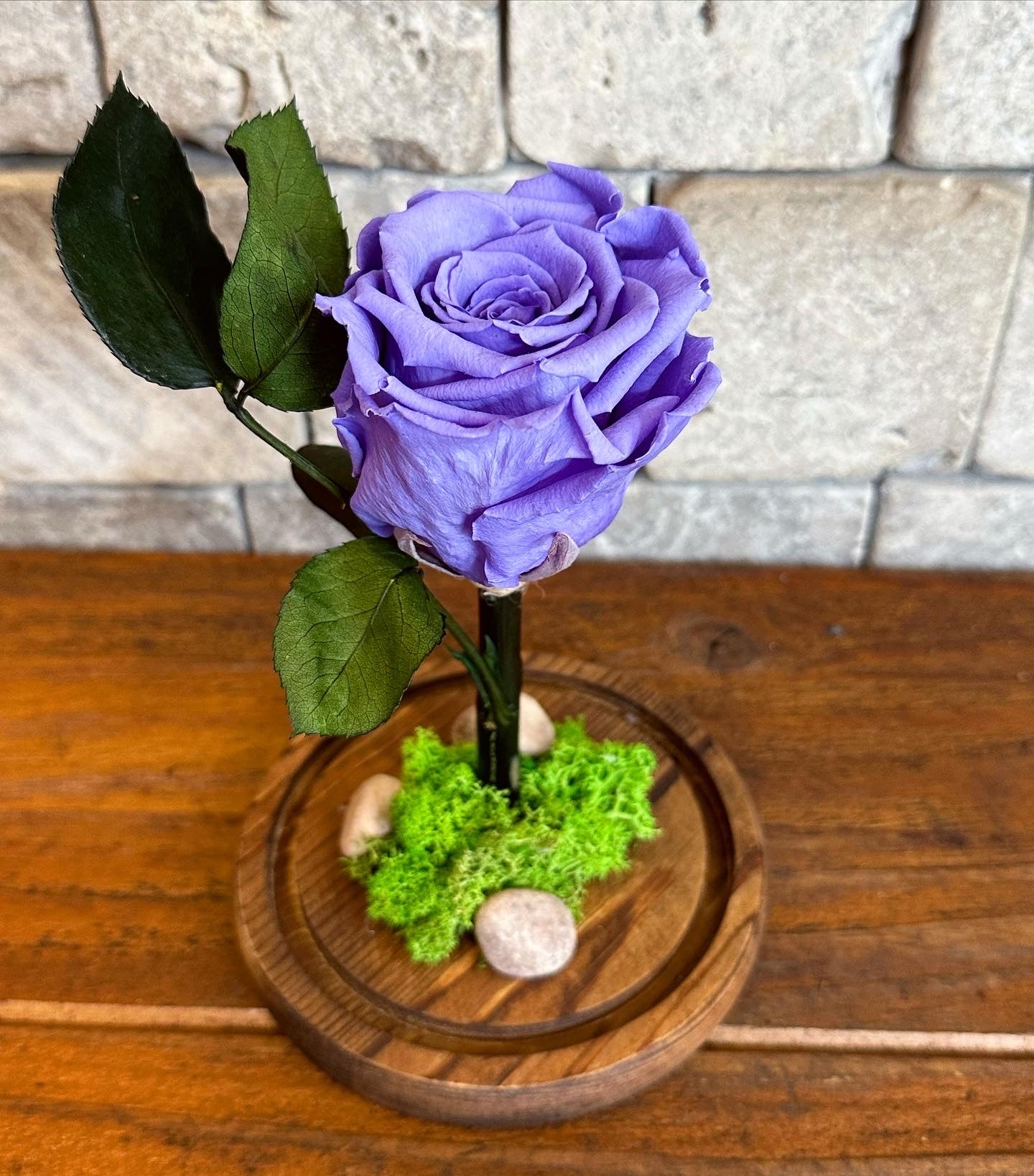 Blueberry Infinite Rose *SM Vase*