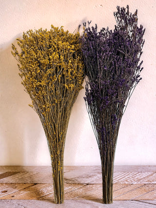 Preserved Limonium Blooms