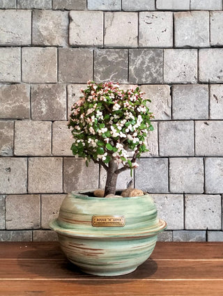 PinkJade Gem Bonsai