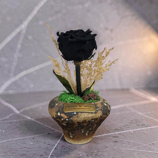 Noir Éternelle Bloom