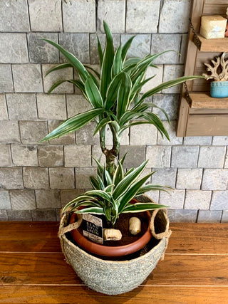 Root & Weave Jade-Jewel