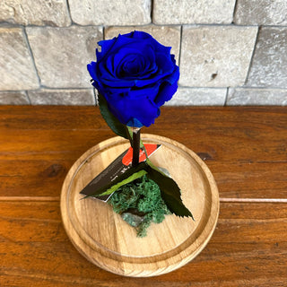 Royal Blue Infinite Rose *LG Vase*