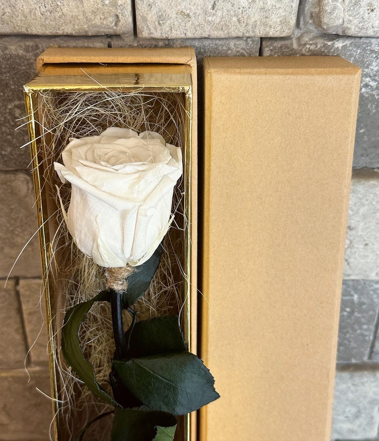 Single Premium Infinite Rose Gift Box ‘Pearl’