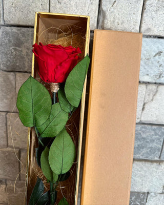 Single Premium Infinite Rose Gift Box ‘Scarlet Red’