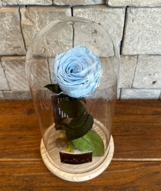 Ice Blue Infinite Rose *Tall Vase*