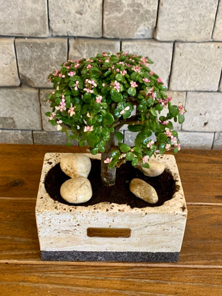 Marble Muse: Pink Jade Bonsai | Artisan Marble Pottery Collection