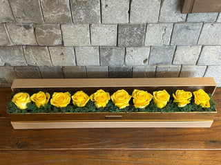 Golden Glow — Yellow Roses