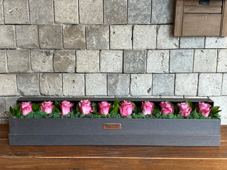 Twilight Bloom — Purple Elegance