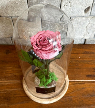 Lavender Pink Infinite Rose *Tall Vase*