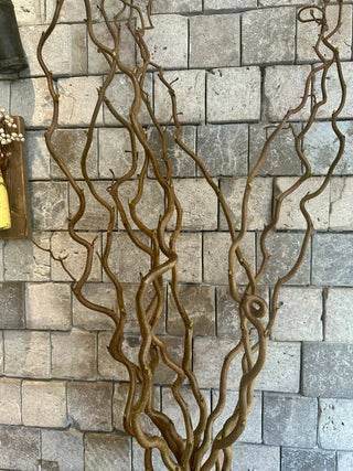 Dried Corylus Stalks ‘Hazel Tree’