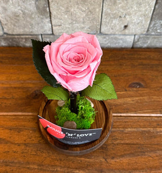 Sweet Pink Infinite Rose *SM Vase*