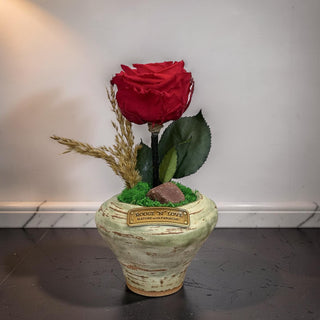 Rouge Éternelle Bloom