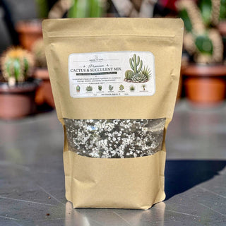 House-Made Premium Cactus & Succulent Mix | 2L