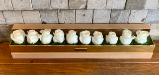 Ivory Luxe — White Roses