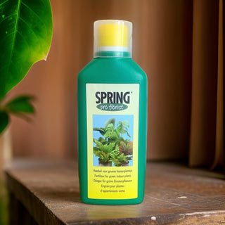 Spring Indoor Green Plants Food | 500ml