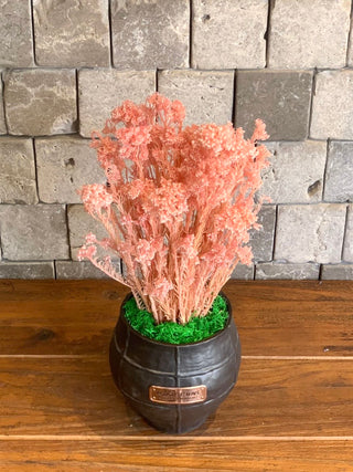 Rosé Mist Botanical Creation