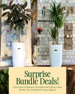 🌿 EverGreen Retreat 'Bundle'